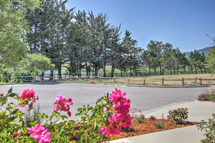 Serene Bungalow-style Home in Point Reyes Station!