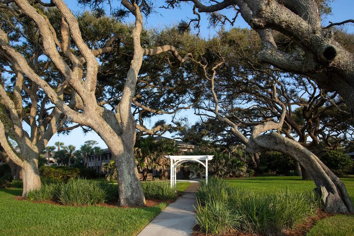 The Beachview Club