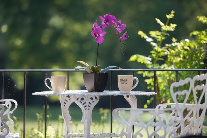 Terrace/Patio 42 of 46