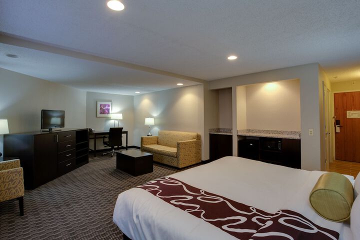 La Quinta Inn & Suites by Wyndham Detroit Metro Airport