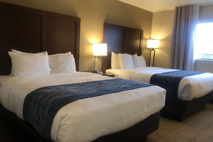 Room 51 of 81