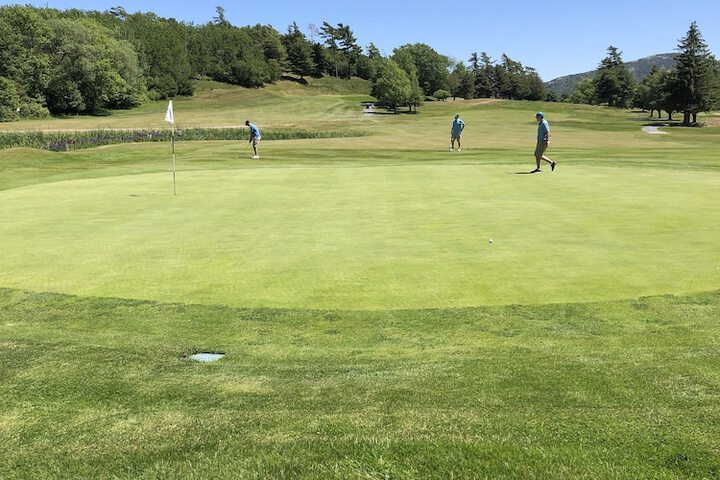 Golf 31 of 37