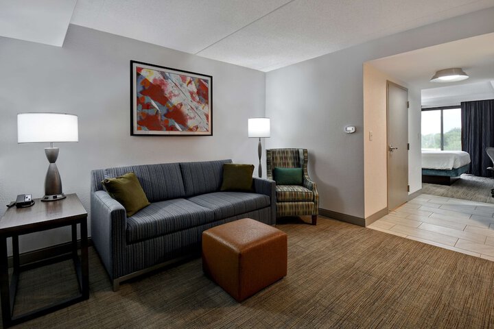 Hilton Garden Inn Detroit Metro Airport