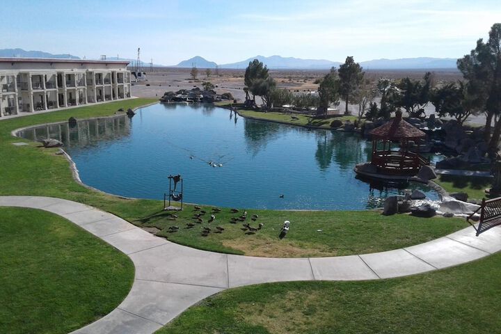 Pool 9 of 41