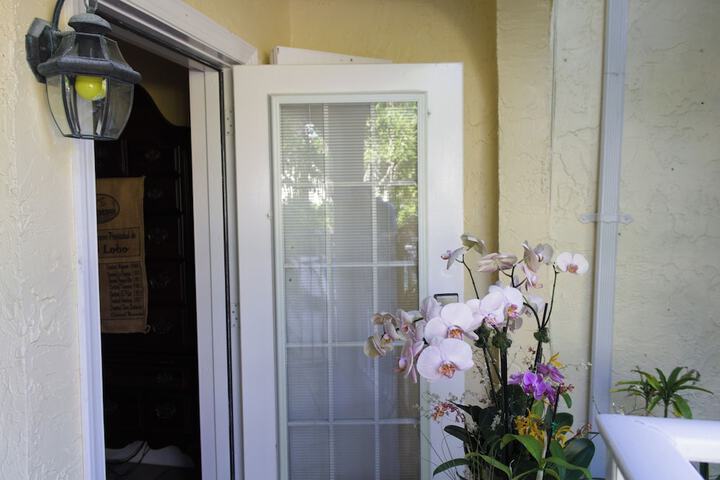 Terrace/Patio 370 of 392