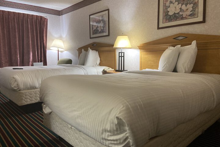 Room 8 of 9