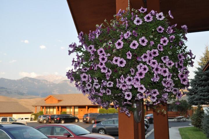 Hotel 7 of 36