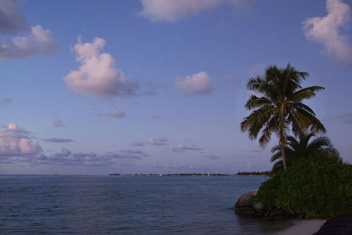 Pier House Resort & Spa
