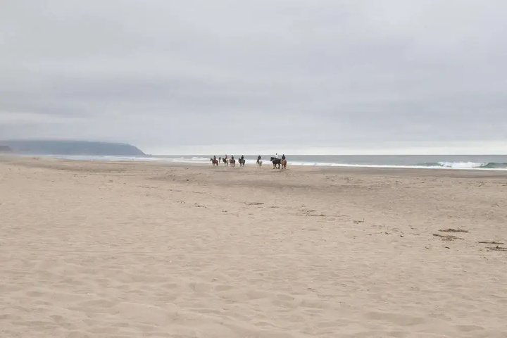Sand Castle-Pacific City