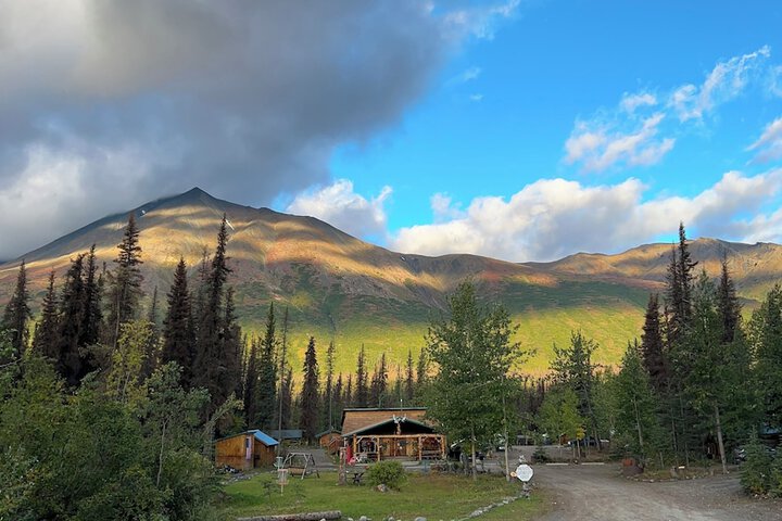 Carlo Creek Cabins