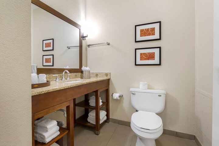 Comfort Inn Memphis Downtown