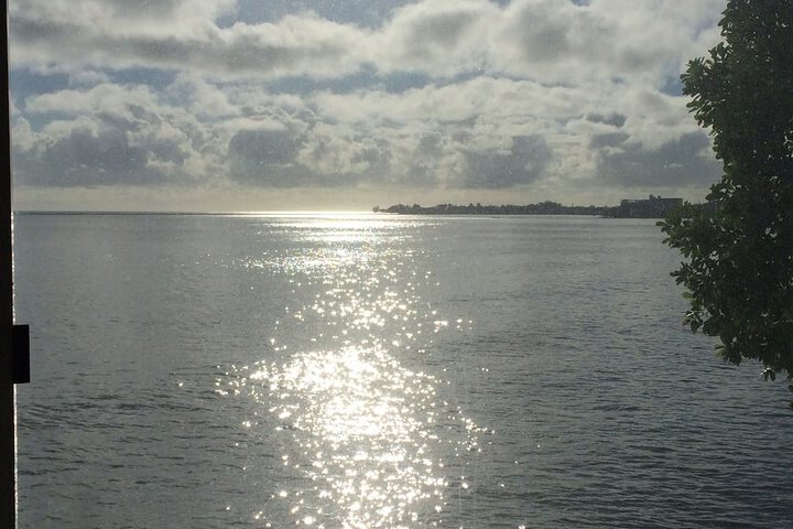 Hilo Bay Oceanfront B & B