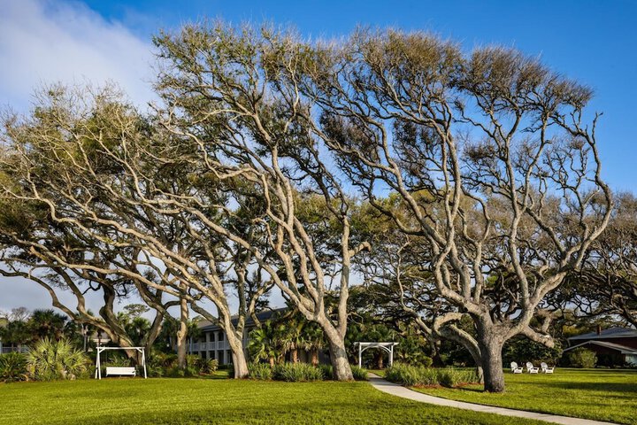 The Beachview Club