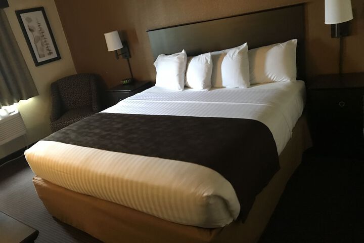 Room 54 of 81