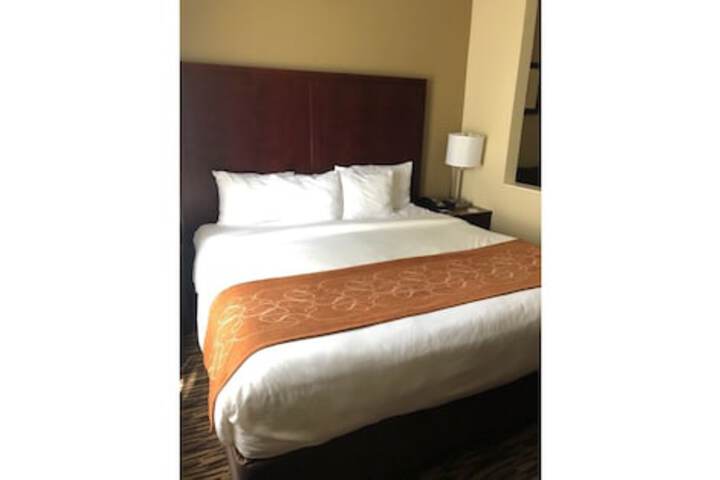 Room 26 of 52