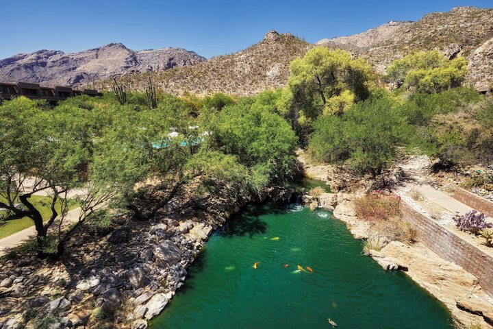Loews Ventana Canyon Resort