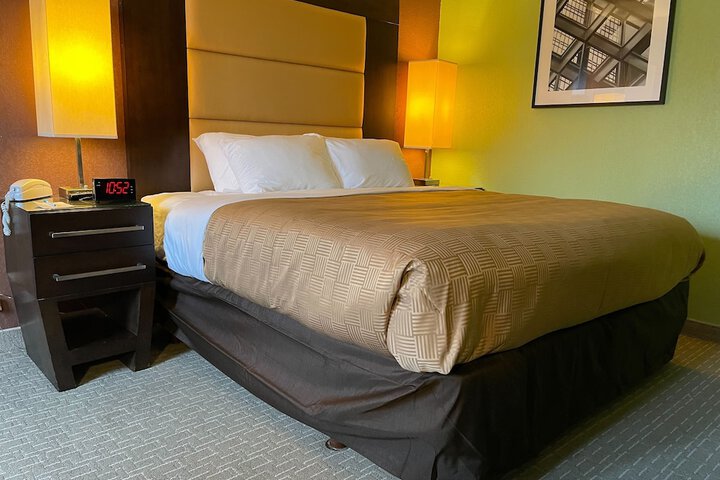 Room 31 of 42