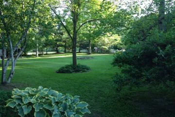 Silver Fern Bed and Breakfast