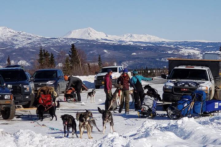 Denali Wild Stay