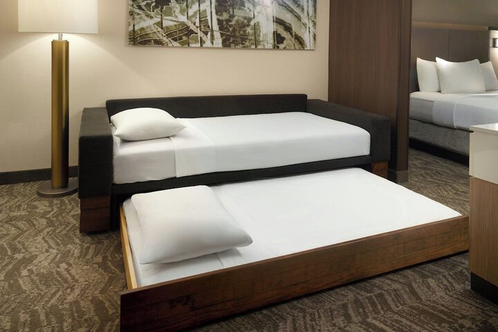 Springhill Suites by Marriott Atlanta Six Flags