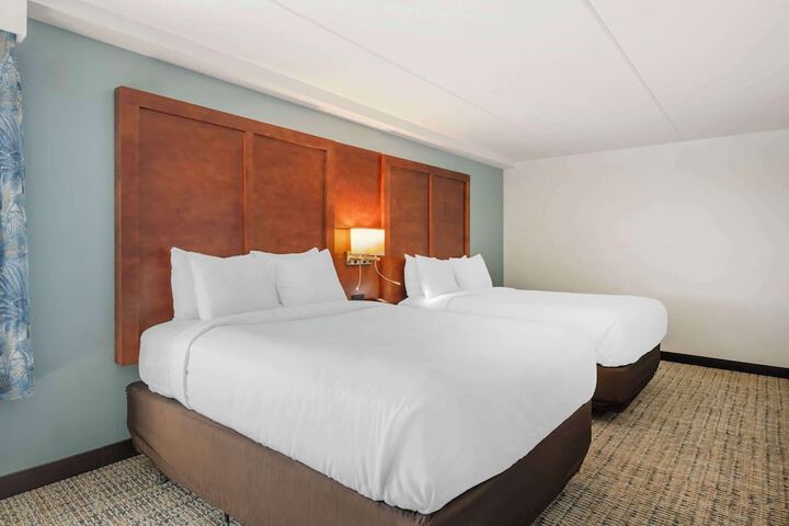 Room 43 of 54