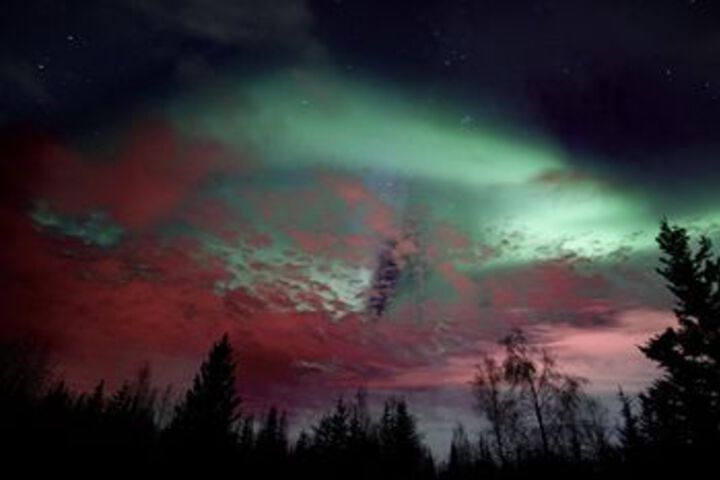 Fairbanks Moose Manor B & B