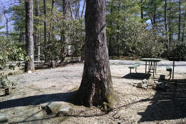 Linville Falls Campground RV Park, and Cabins