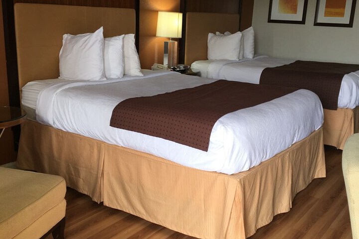 Room 11 of 42