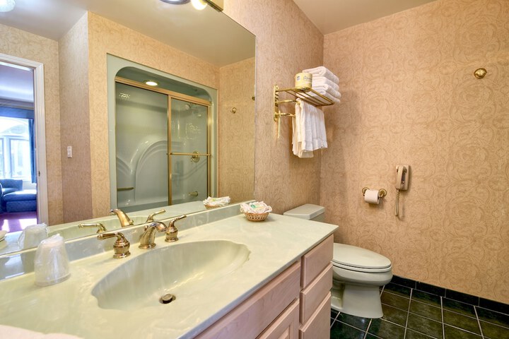 Roosevelt Inn and Suites Saratoga Springs