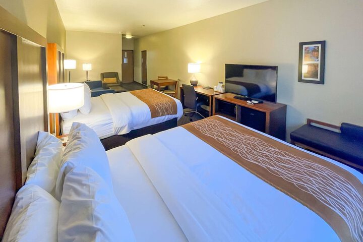 Comfort Inn & Suites Midtown