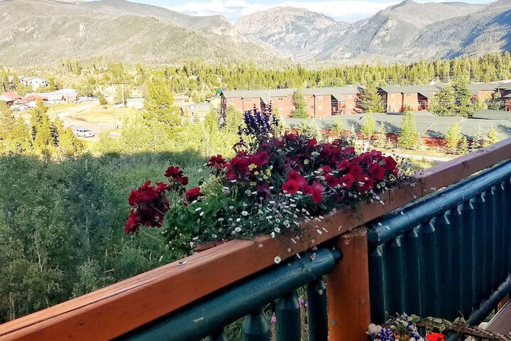 Sundeck 75 of 82