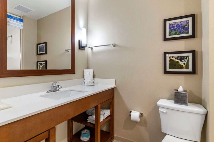 Comfort Suites Kyle
