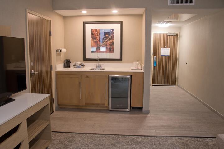 Hampton Inn & Suites Denver-Speer Boulevard