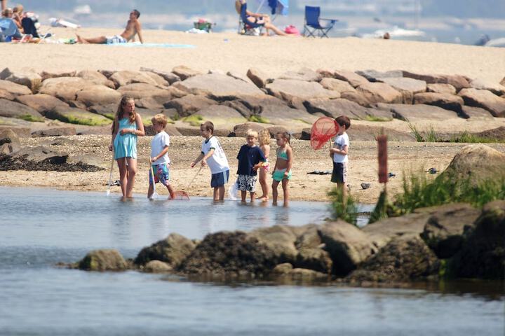 Childrens Activities 43 of 60