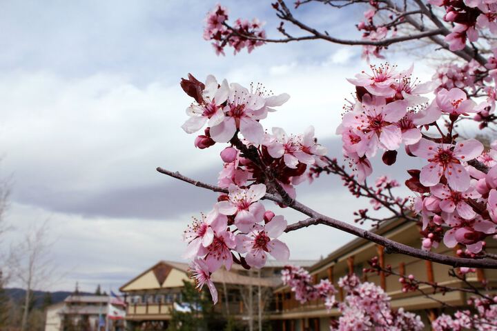 Holiday Inn Resort The Lodge at Big Bear Lake by IHG