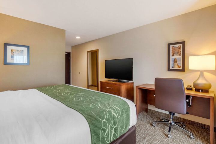 Comfort Inn & Suites Schenectady - Scotia