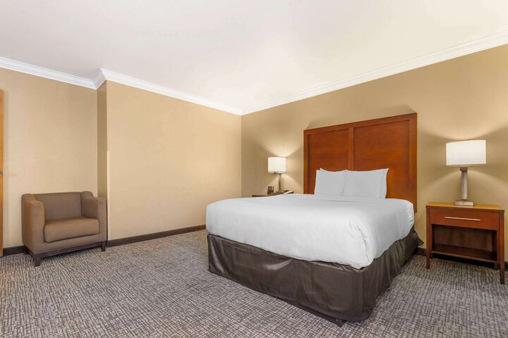 Room 31 of 62