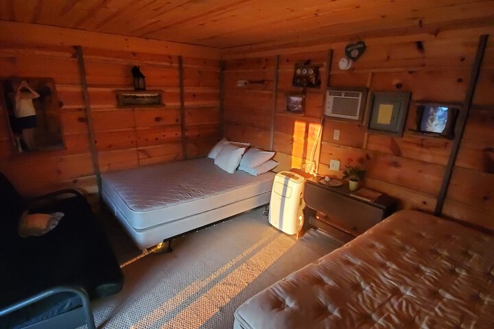 Suzies Camp