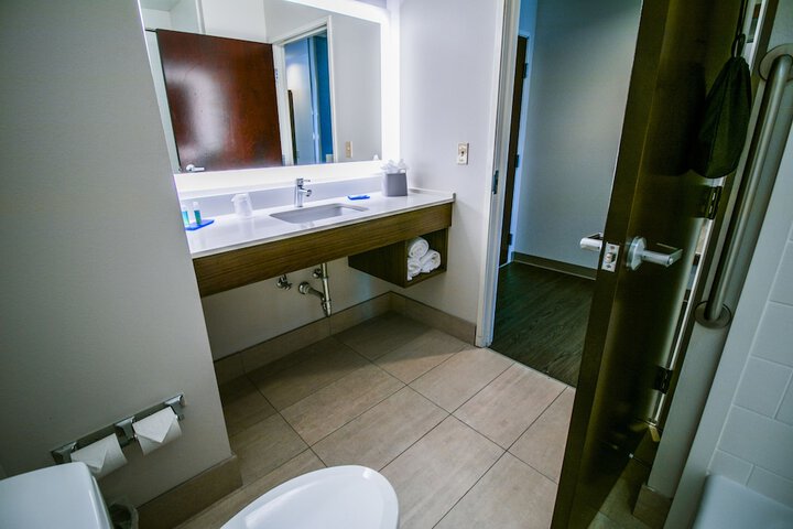 Holiday Inn Express Hotel & Suites a Baton Rouge-Port Allen by IHG