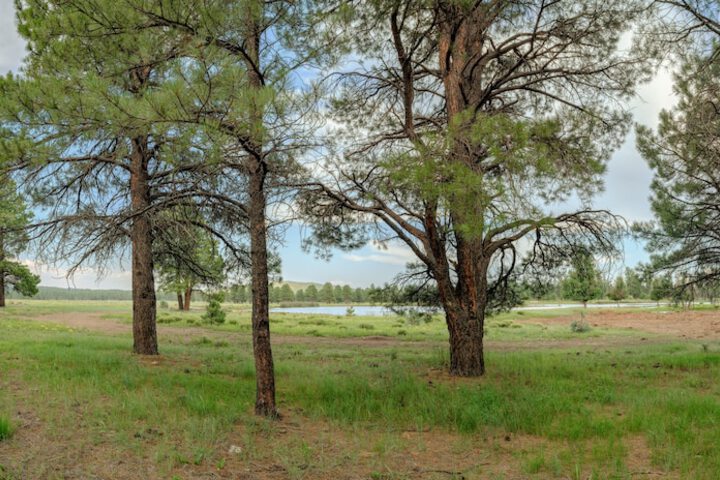 Backland Luxury Nature Resort - Grand Canyon