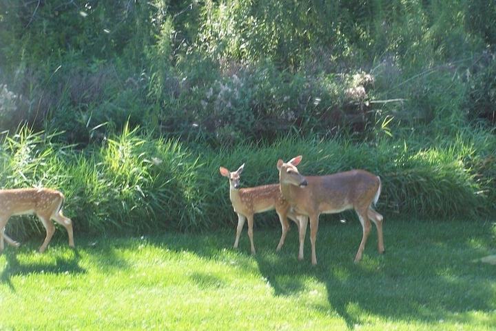 Fish Creek House Bed & Breakfast