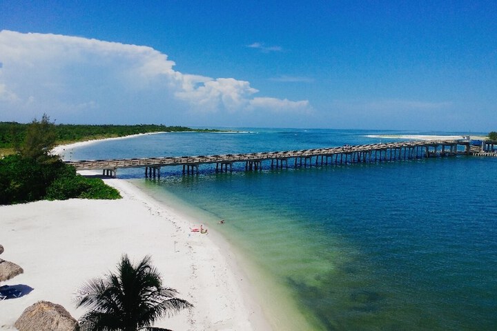 Beach 101 of 137