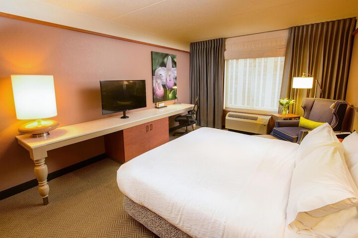 Hilton Garden Inn Rochester Downtown MN