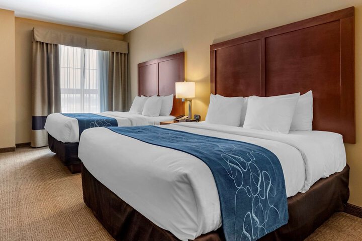 Comfort Suites Airport - University