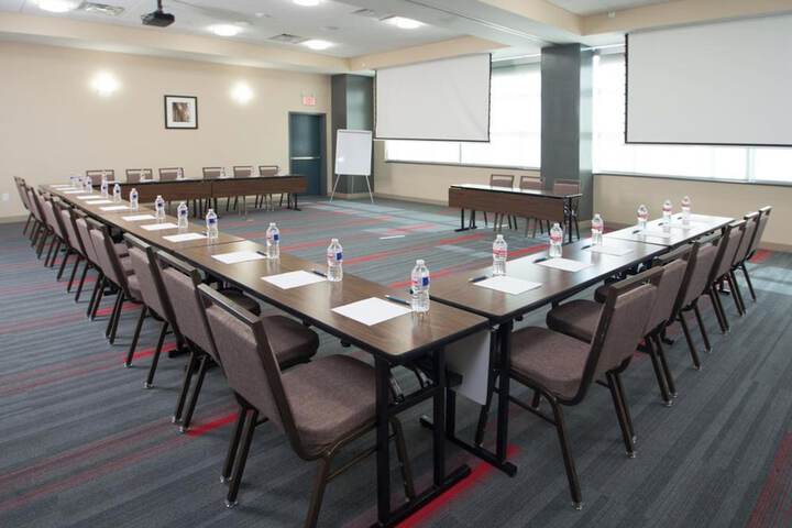 Meeting 29 of 48