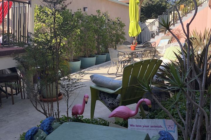 Terrace/Patio 41 of 47