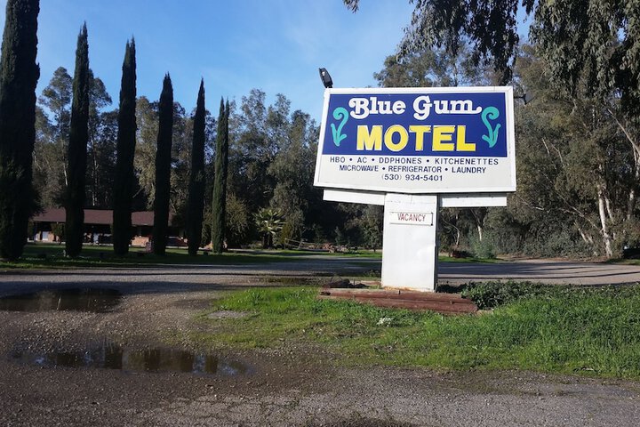 Blue Gum Motel
