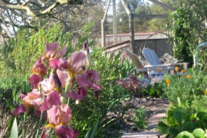 Pearlessence Vineyard Inn