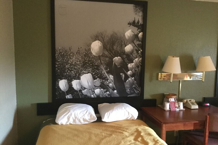 Super 8 by Wyndham Youngstown / Austintown