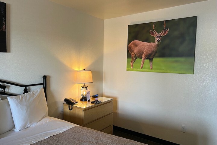 Antlers Inn